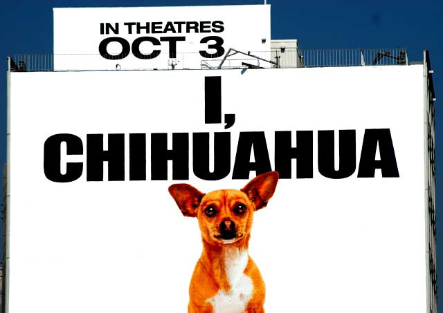 "I, Chihuahua" - building wrap on the Sunset Strip for the Disney film, Beverly Hills Chihuahua