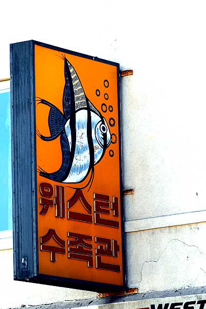 Fish sign, pet store, Western Avenue, Koreatown