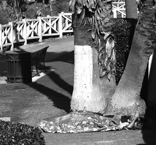 Homeless sleeper, Palisades Park, Santa Monica 