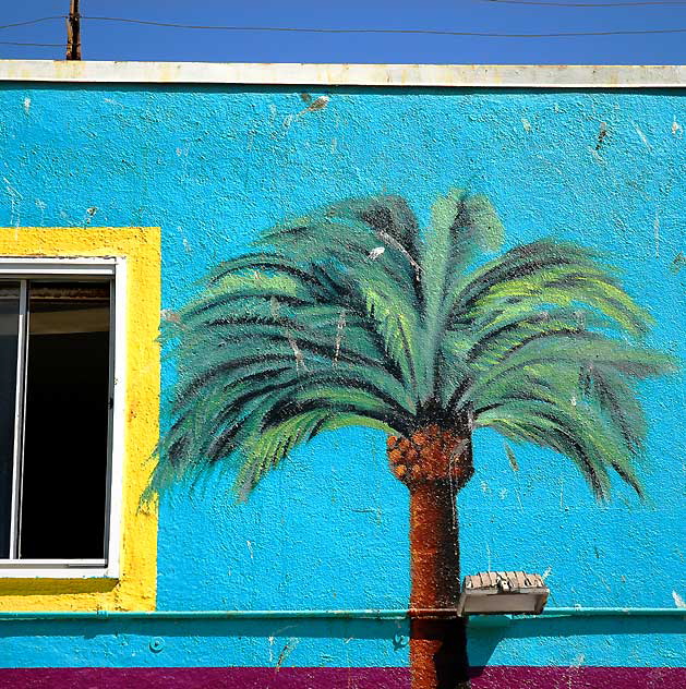 Palm Wall - Oceanfront Walk in Venice Beach