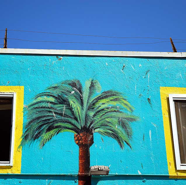 Palm Wall - Oceanfront Walk in Venice Beach