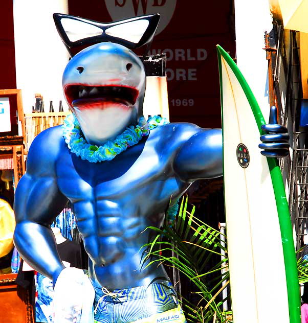 "Shark Surfer" - Oceanfront Walk, Venice Beach