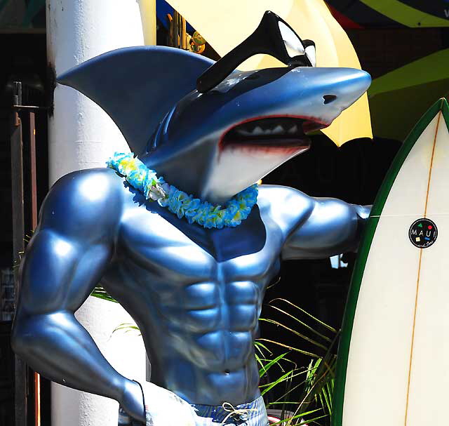 "Shark Surfer" - Oceanfront Walk, Venice Beach
