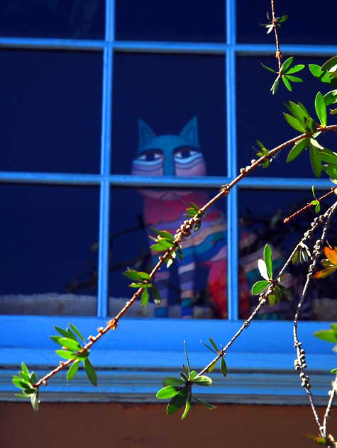 Cat in Window, art gallery on Vista, just off Melrose