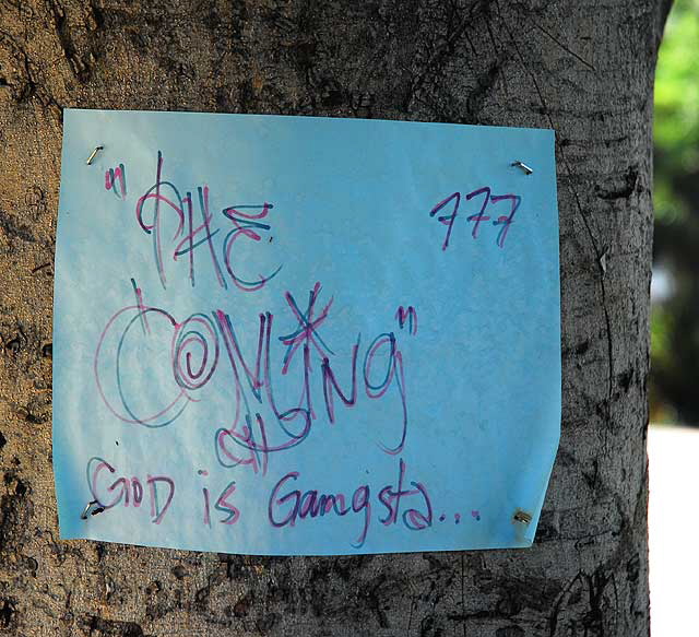 Sign on a tree in the in the Wilshire District - "The Coming: God is Gangsta"