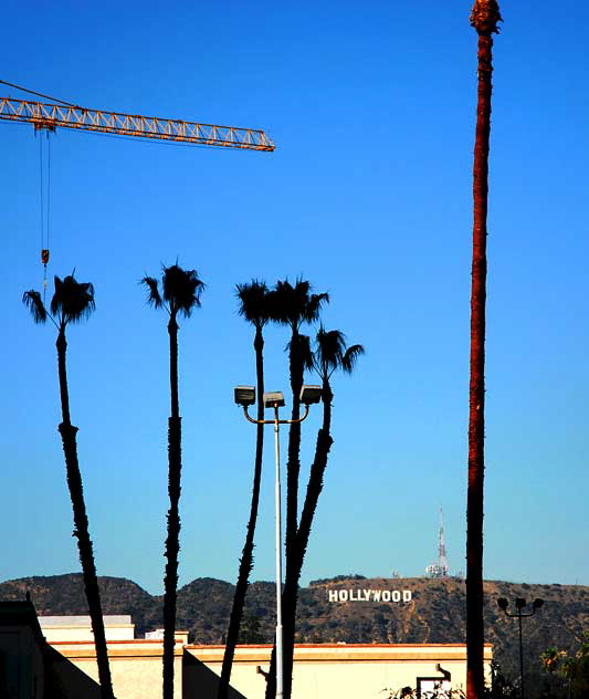 Construction crane, just north of Sunset and Vine, Hollywood