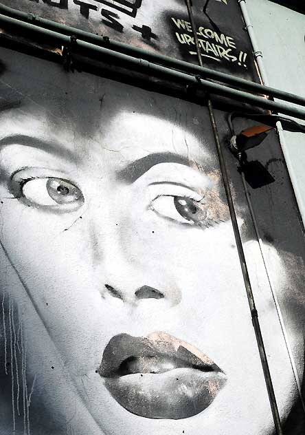 Woman's face on a wall, Melrose Avenue - Welcome Upstairs!