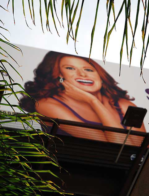 Billboard, Deborah Messing, North Cahuenga Boulevard, Hollywood