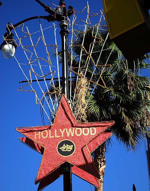 Hollywood Christmas Stars - annual lamppost display Hollywood Christmas Stars - annual lamppost display