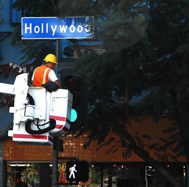 Tree trimming, Hollywood Boulevard at Whitley