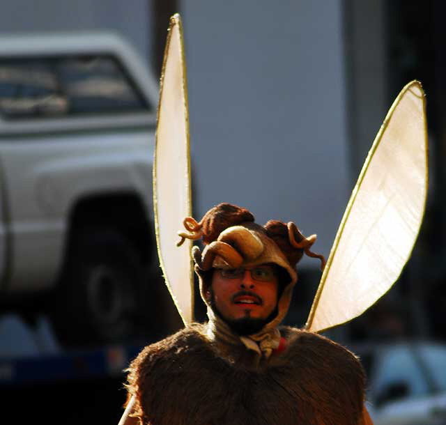 Bug Man, Hollywood Boulevard