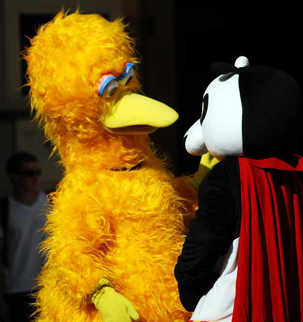 Big Bird talks to Panda - characters on Hollywood Boulevard