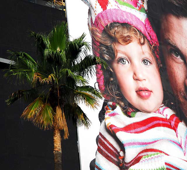 Palm tree and child in snowsuit - the Gap, Hollywood and Highland