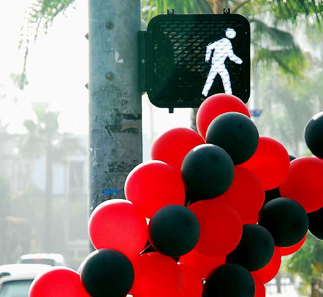 Balloons, Sunset Strip, at Roxbury