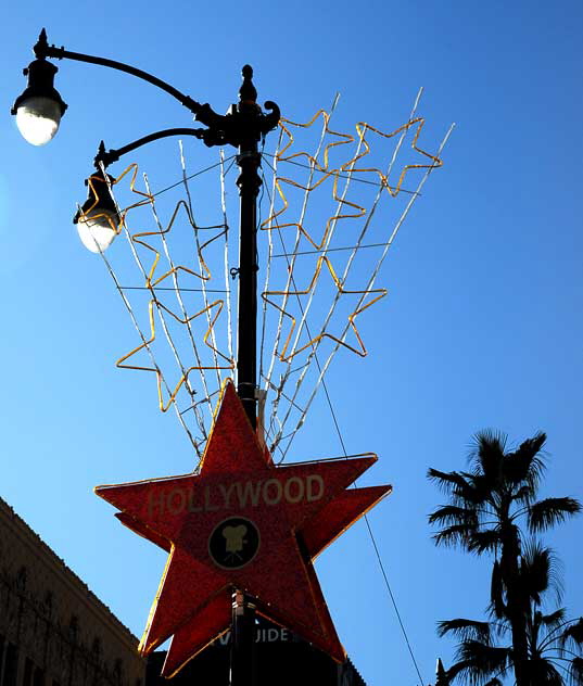 Hollywood Christmas stars, on the lampposts each year