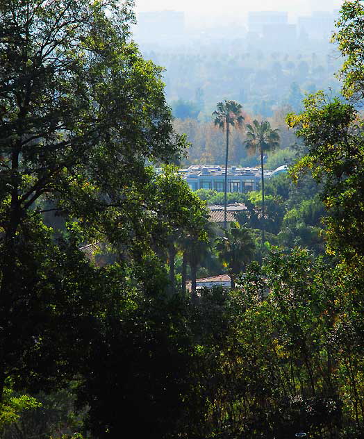 View from Greystone Mansion, Beverly Hills