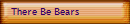 There Be Bears