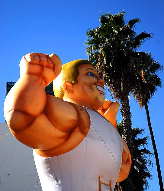 Inflatable muscle man, Sunset Boulevard near Gower