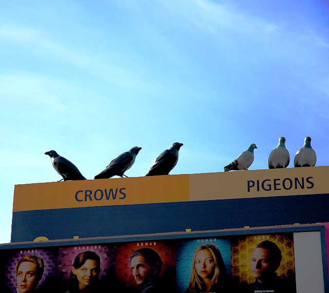 Bird billboard, Melrose Avenue (for Office Max)