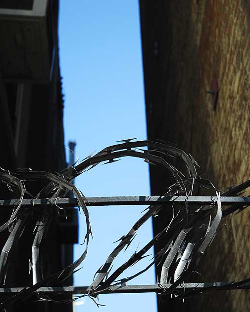 Razor wire, Wilcox Avenue, Hollywood