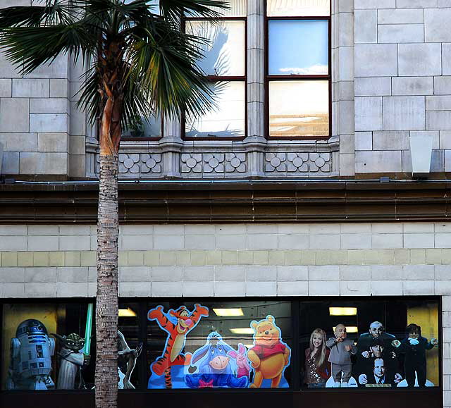 Storefront and palm, Hollywood Boulevard at Sycamore