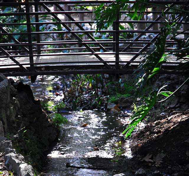 Ferndell, Griffith Park, Los Angeles 