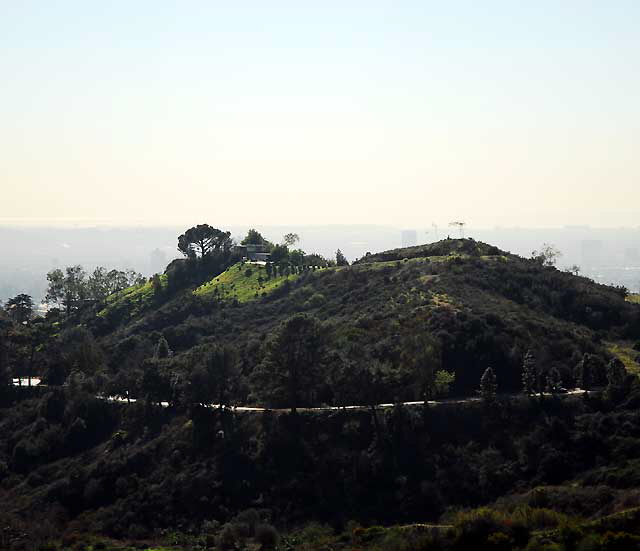 Griffith Park in winter 