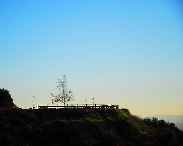 Griffith Park in winter 