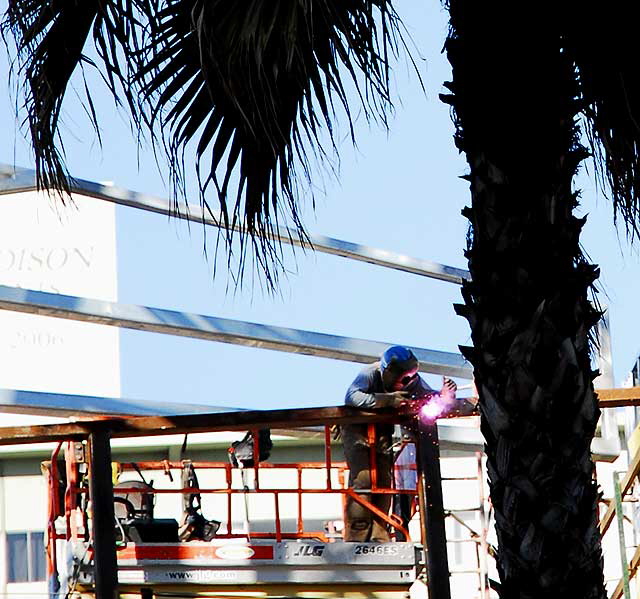 Arch Welder and Palm Tree