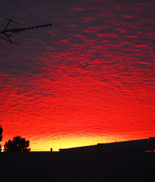 Sunrise clouds, Hollywood, Monday, January 19, 2009