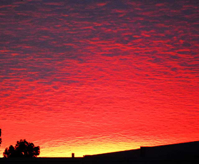 Sunrise clouds, Hollywood, Monday, January 19, 2009