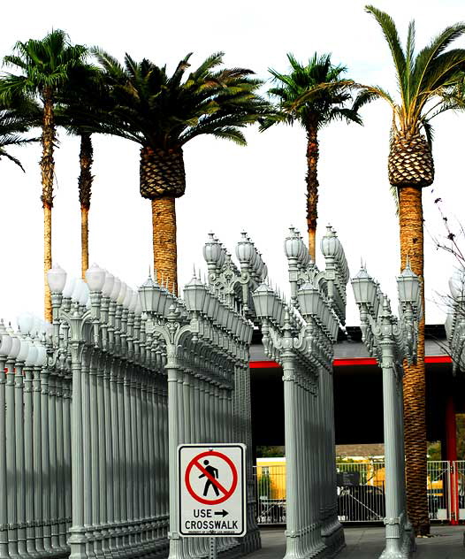 Chris Burden's "Urban Light," an installation of 202 vintage Los Angeles streetlamps at the new Broad Contemporary Art Museum (BCAM), Wilshire Boulevard