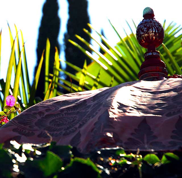 Bougainvillea, Fan Palm, Decorative Umbrella 