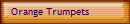 Orange Trumpets