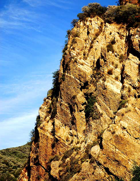 Topanga Canyon, Wednesday, February 4, 2009