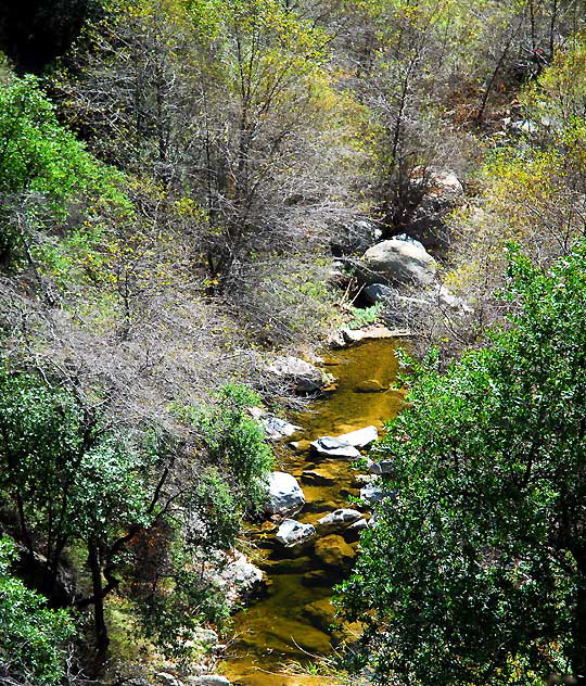 Topanga Canyon, Wednesday, February 4, 2009