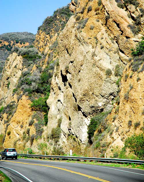 Topanga Canyon, Wednesday, February 4, 2009