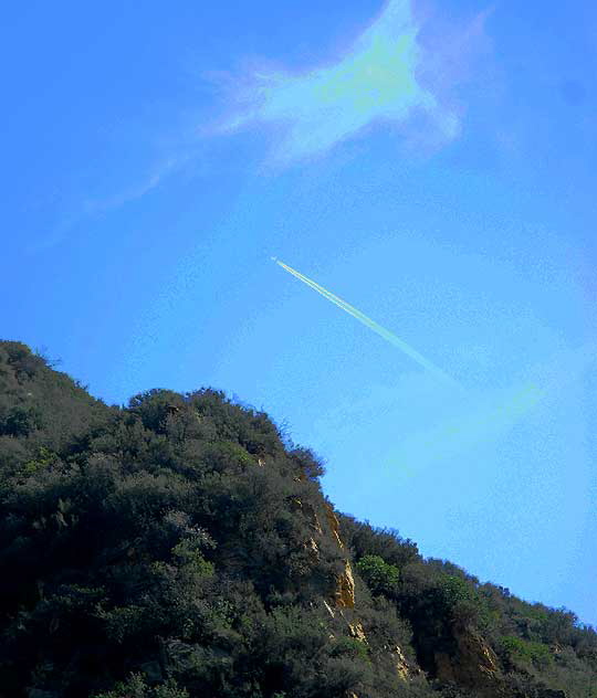 Topanga Canyon, Wednesday, February 4, 2009