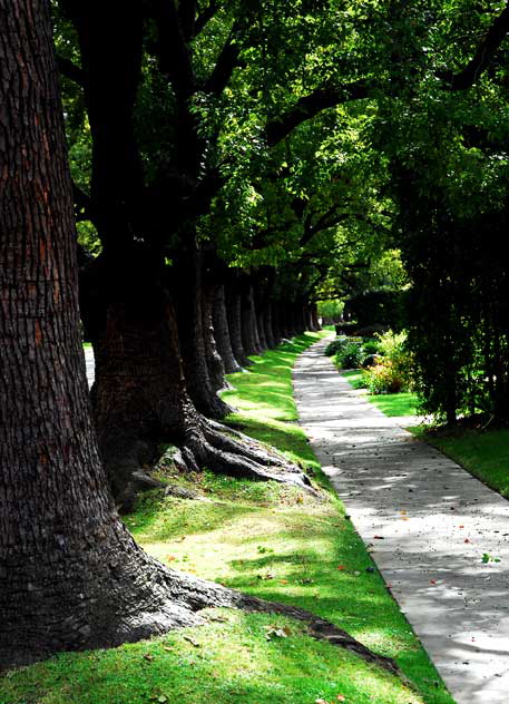 Maple Drive in Beverly Hills, just south of Sunset Boulevard 