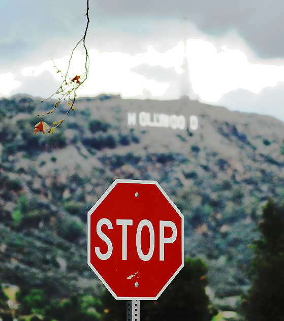 Stop sign and Hollywood Sign