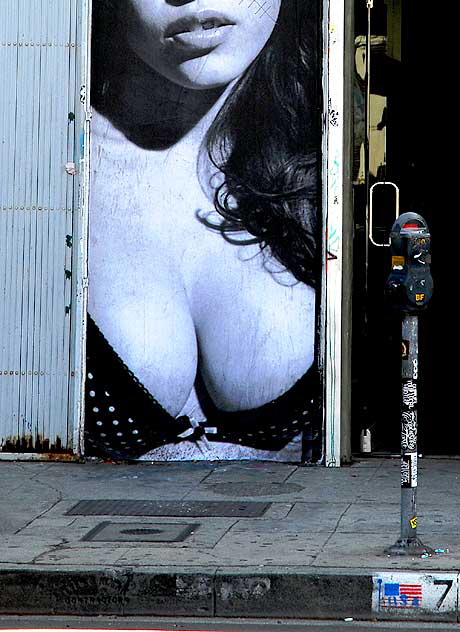 Boob Lady, storefront, Melrose Avenue