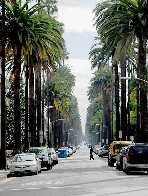 North Oakhurst Drive in Beverly Hills, seen from Wilshire Boulevard