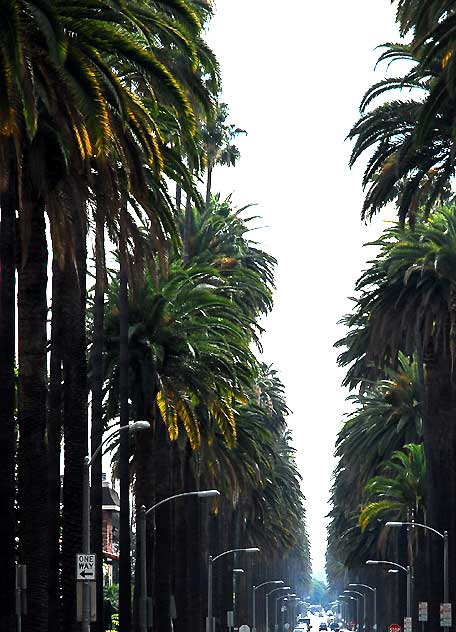 North Oakhurst Drive in Beverly Hills, seen from Wilshire Boulevard