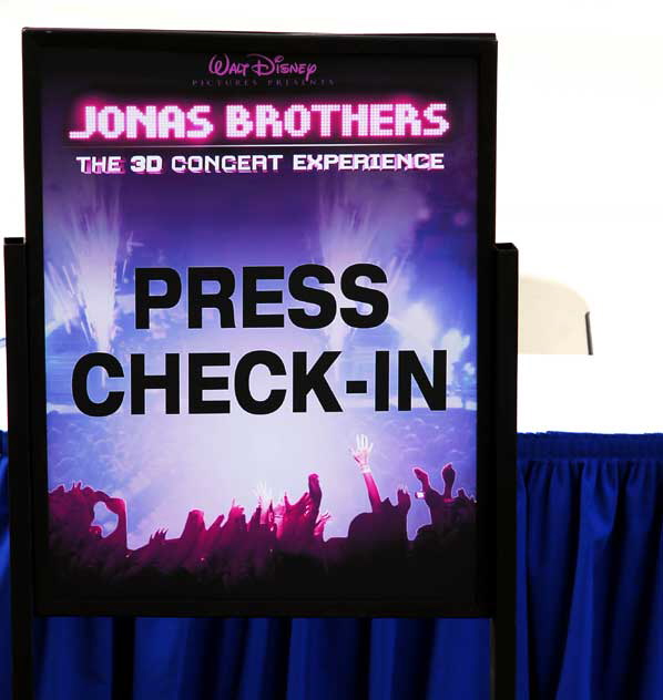 Tuesday, February 24, 2009, at Disney's flagship theater, the El Capitan on Hollywood Boulevard, the premiere of the movie "Jonas Brothers: The 3D Concert Experience" - before the event