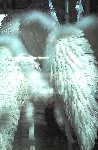Hustler angel wings for sale