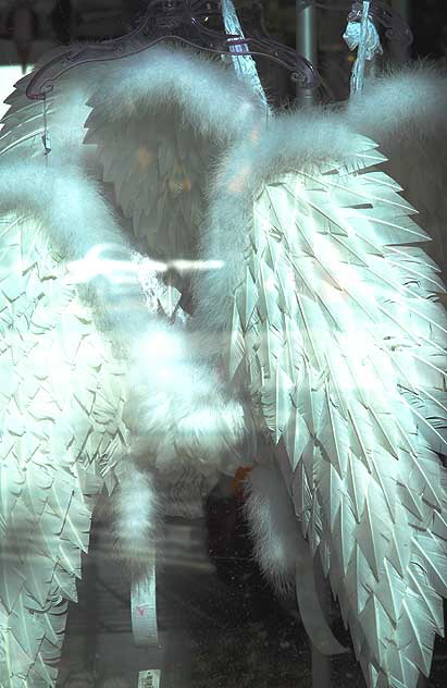 Angel wings for sale in the window of Hustler Hollywood - 