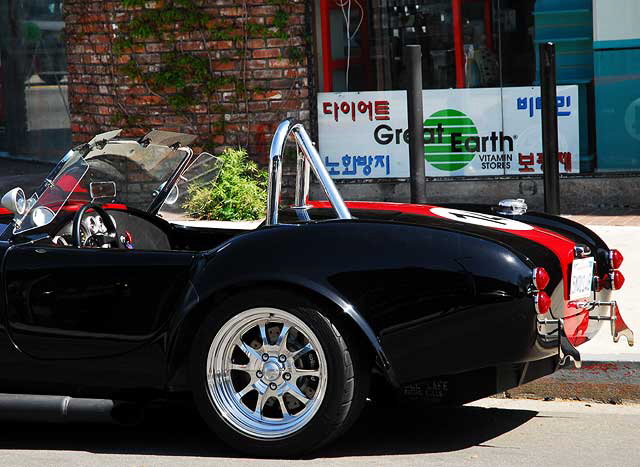 Restored 427 Ford Cobra, Melrose Avenue, Tuesday, March 10, 2009