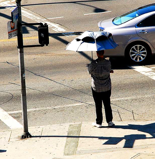 Odd man with odd umbrella, Sunset and Crescent Heights