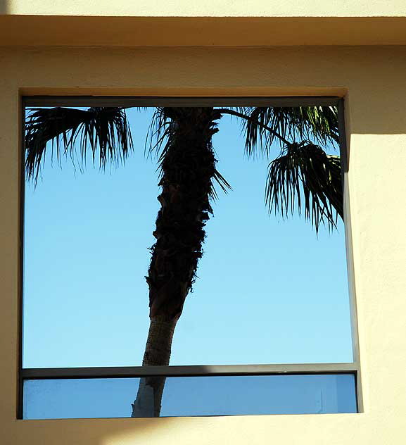 Framed Palm, Sunset and Crescent Heights