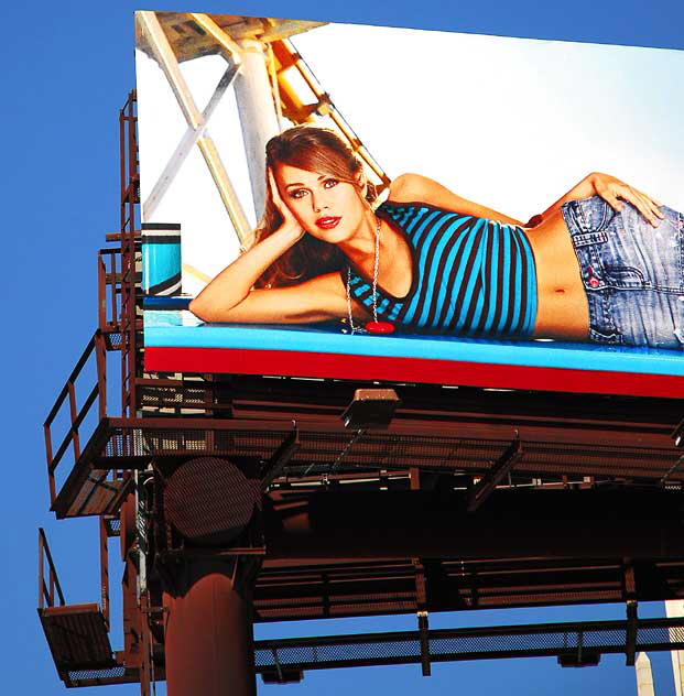 YMI Jeans billboard, Hollywood